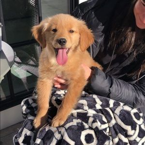 Meet your Posher, Diane